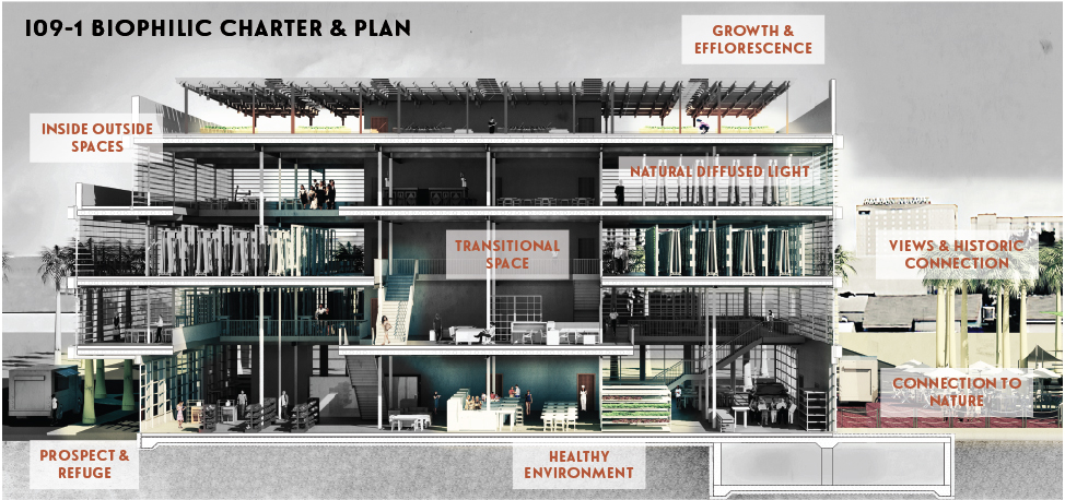 Biophilic Design at the GB Food Hub